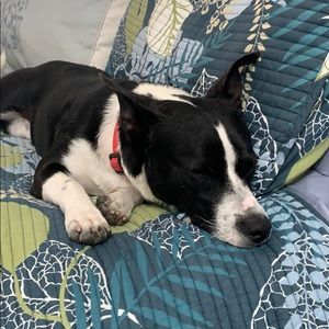 Meet your Posher, Christi